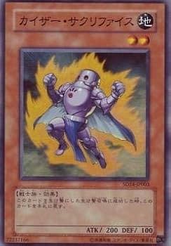 遊戯王　サクリファイス 51zAq9k40TL._AC_SY200_QL15_.jpg
